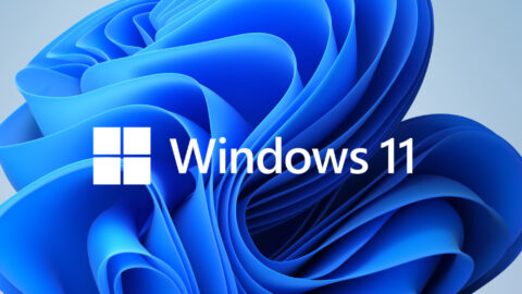 Windows 11